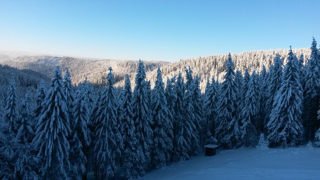 Cihlářská bouda, apartmán 307 Černý Důl Exteriér fotografie