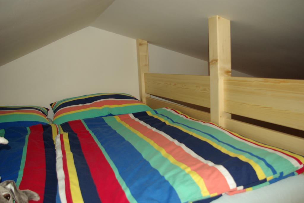 Cihlářská bouda, apartmán 307 Černý Důl Pokoj fotografie